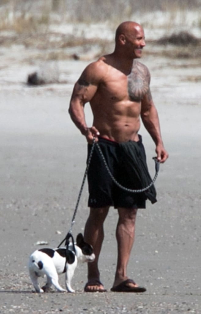 Dwayne Johnson Shirtless With Lauren Hashian Pictures 2016