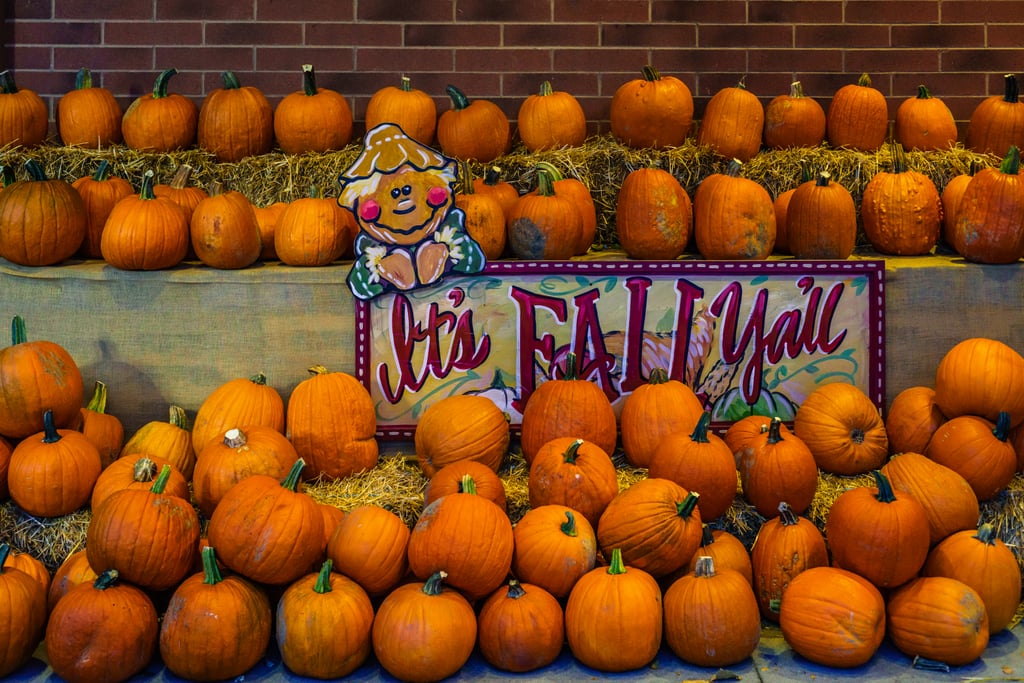 If you want to throw your own 2000s Halloween party, be sure to put on some Disney Channel and Nickelodeon Halloween specials, grab some Hawaiian punch, and whip up some cupcakes with smiling pumpkins and ghosts on them. 
Other nostalgia-based Halloween aesthetics include '80s Halloween, which is mostly distinguishable from the 2000s aesthetic due to references to the many iconic Halloween movies made during that decade, from "Beetlejuice" to "A Nightmare on Elm Street." Fashion-wise, this aesthetic evokes letterman jackets, cheerleader uniforms, and poorly masked killers. There's also '90s Halloween, which tends to mainly reference Halloween-based '90s pop culture staples, from "Hocus Pocus" to the original "Scream."