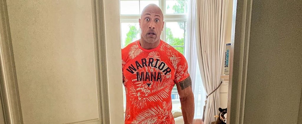 Dwayne Johnson's Reaction to Putting Together a Barbie House