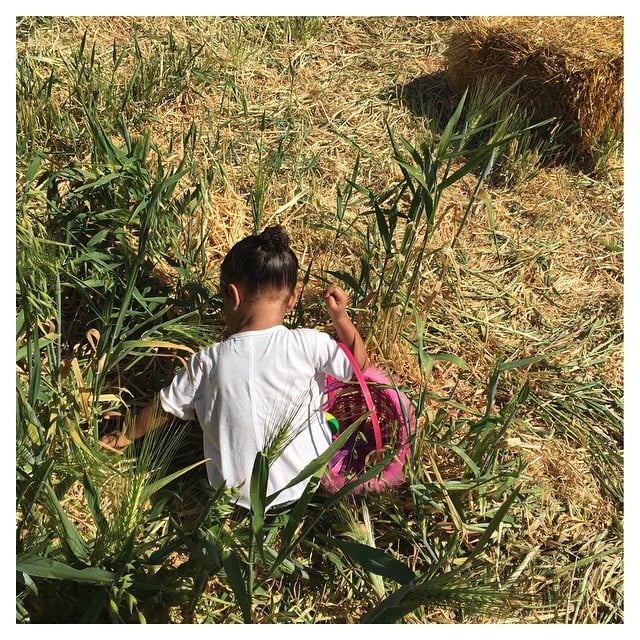 North West Easter Egg Hunt Pictures