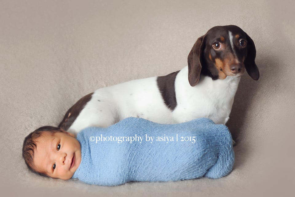 Adorable Newborn and Pet Photos