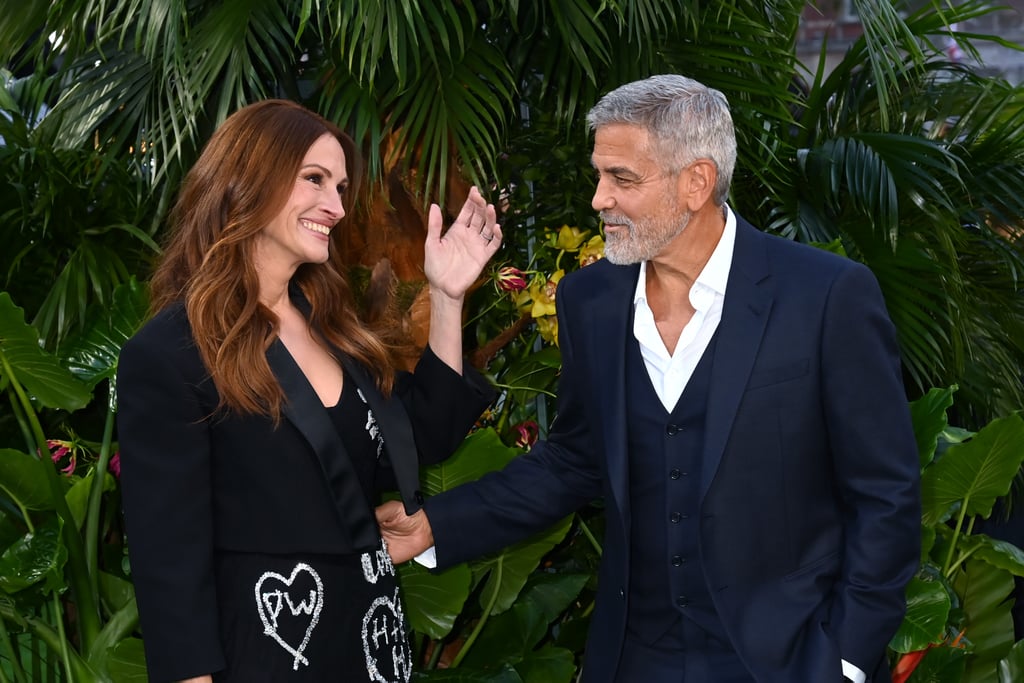 Julia Roberts and George Clooney Friendship Pictures