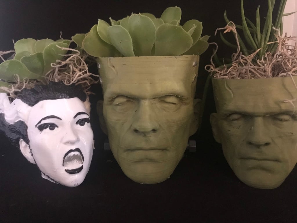 Frankenstein and His Bride Succulent Planters | Etsy