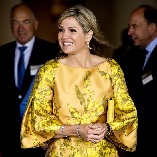 Queen Maxima Bell-Sleeved Dresses May 2016