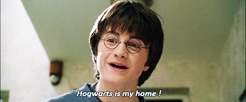 And Hogwarts quickly became your favorite escape.