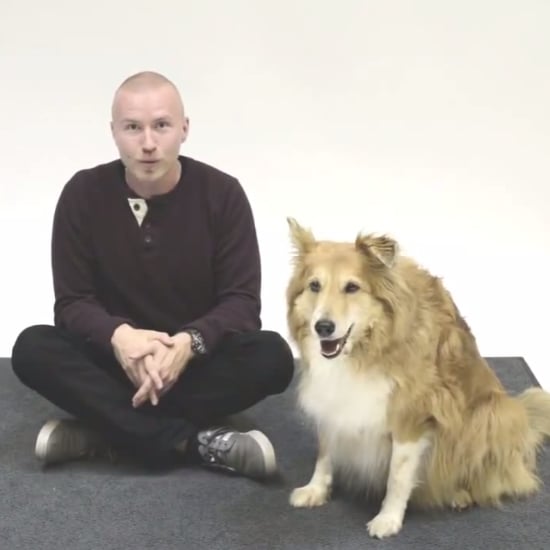 How Dogs React to Human Barking | Video