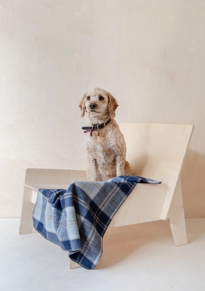 Home Gifts: The Tartan Blanket Co. Recycled Wool Small Pet Blanket