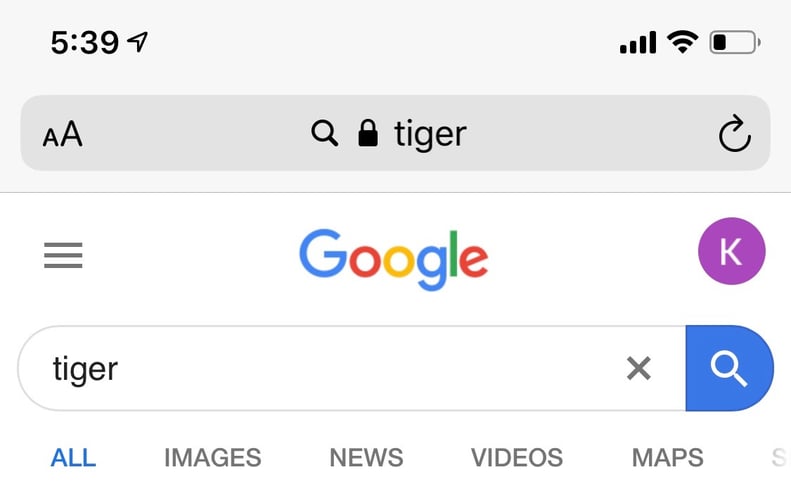 Start by Searching an Animal on Google