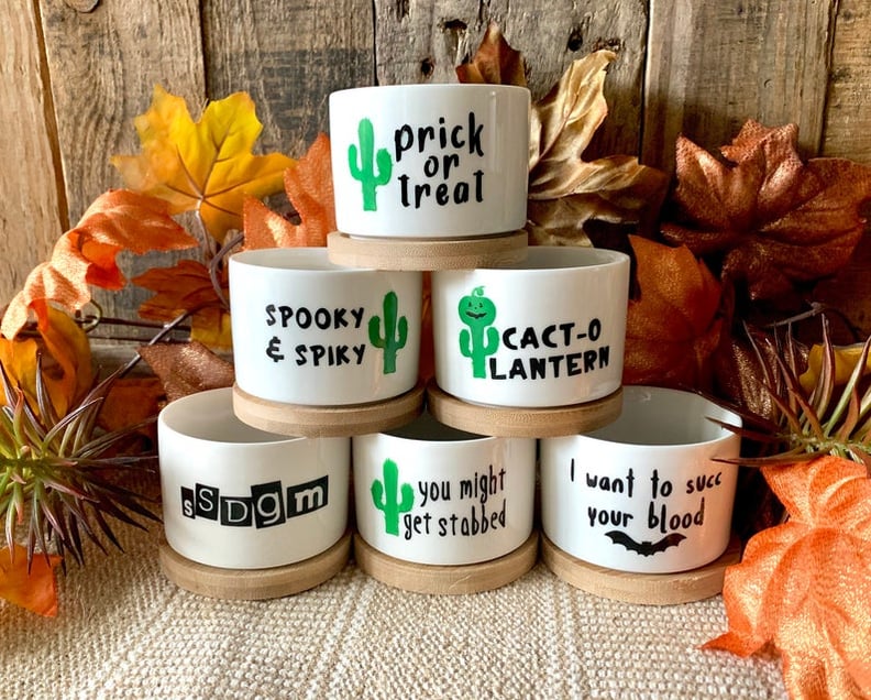 Halloween-Themed Succulent Planters