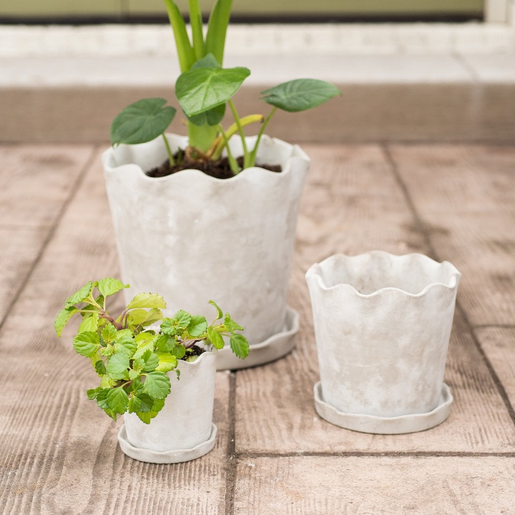 Scalloped Cement Pot