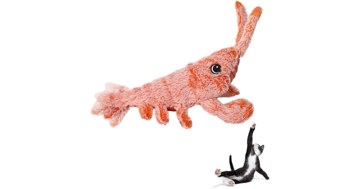 Beewarm Flippity Fish Cat Toy Best Trending Deals From Amazon Prime Day 2021 POPSUGAR Smart