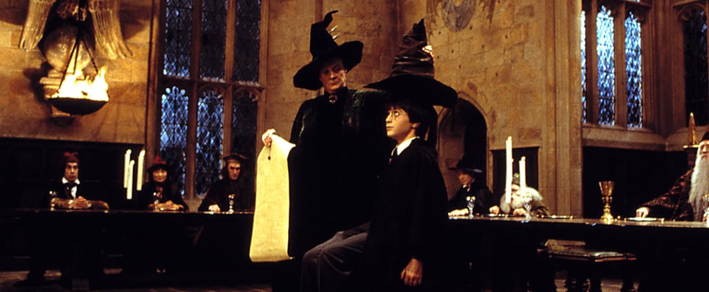 Harry Potter Sorting Hat Is Biased Theory