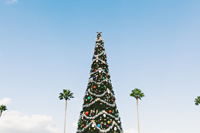 Christmas Zoom Background: Tall Christmas Tree