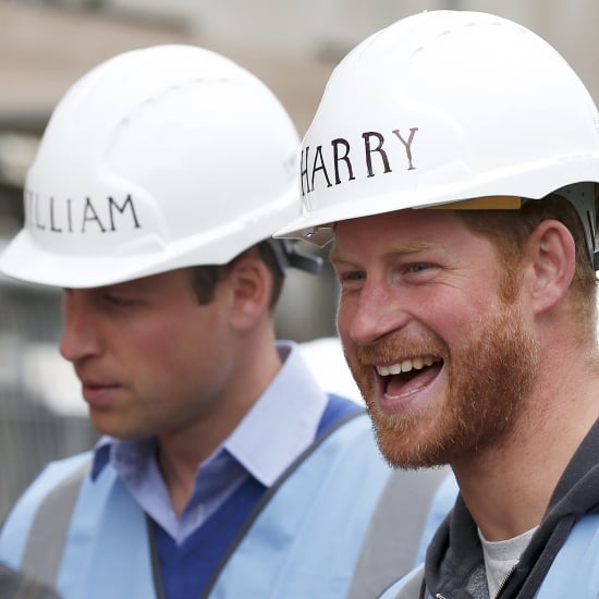 Prince William and Prince Harry Renovating Homes Sept. 2015