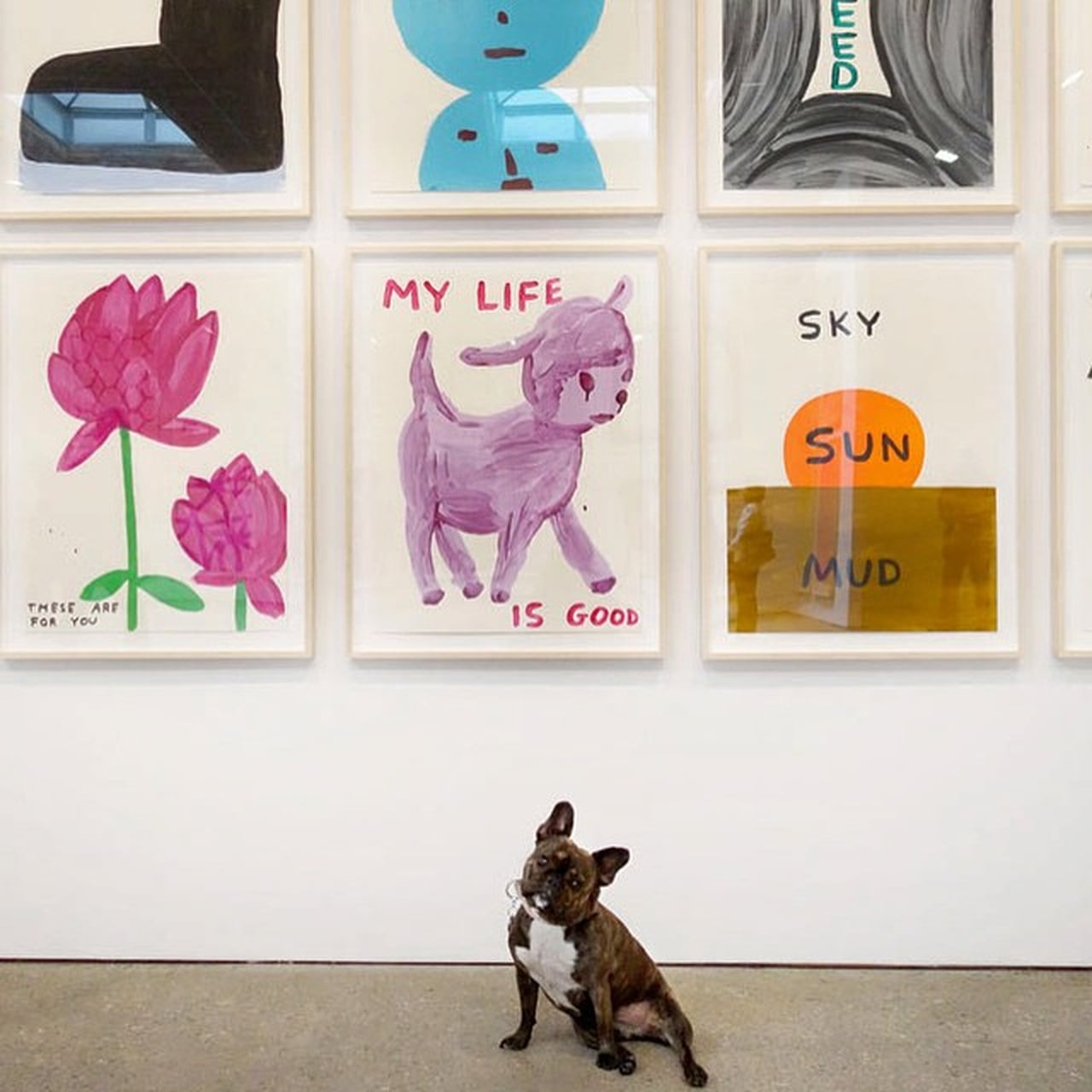 The Dog That Is Taking the Art World by Storm | PS Pets