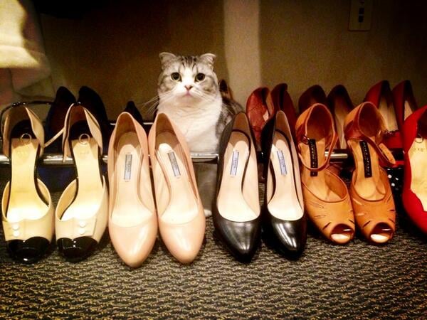 When Meredith got to hang out in a shoe collection that costs more than your yearly rent