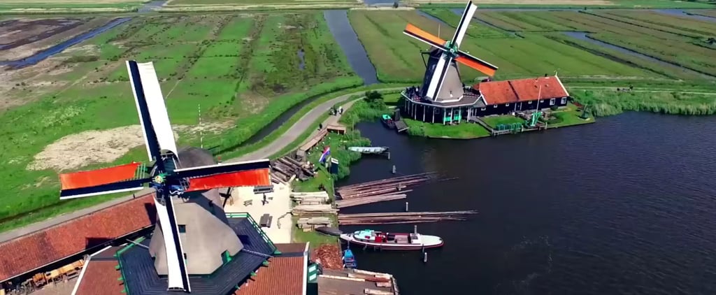 Dutch Welcome Video For Trump