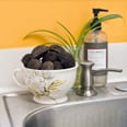 DIY Coffee Grounds Garbage Disposal Cleaners