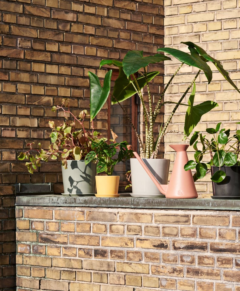 Pastel Watering Can