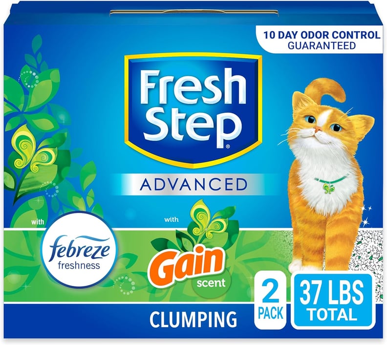 Best Clumping Litter