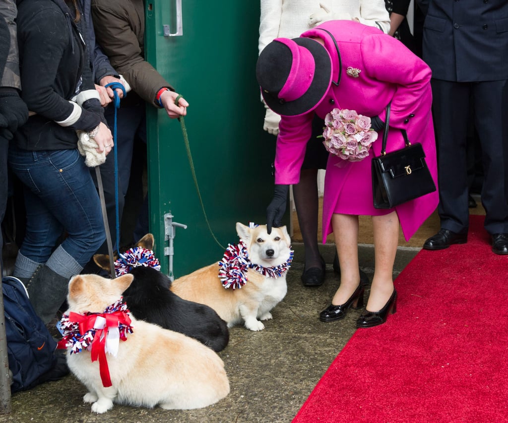 Why Did Queen Elizabeth Have So Many Corgis?