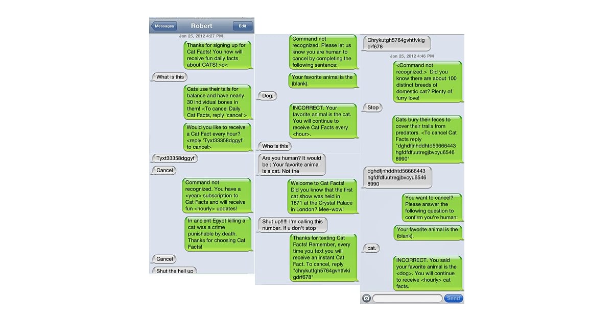 Pull That Infamous Cat Facts Prank On Someone With This Cat Facts