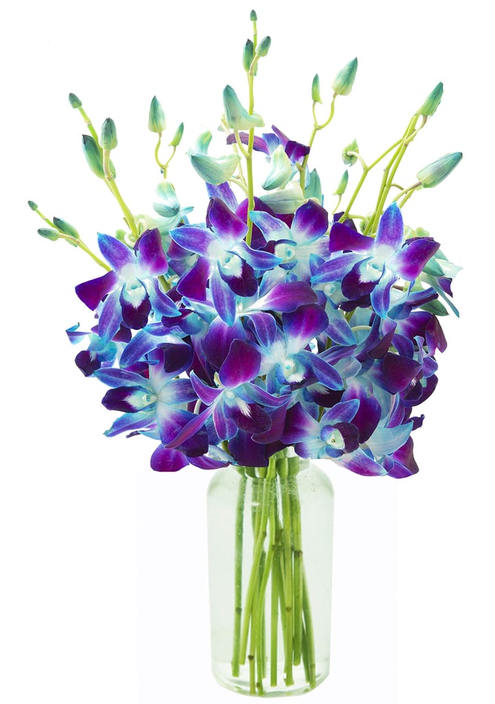 Exotic Sapphire Orchid Bouquet