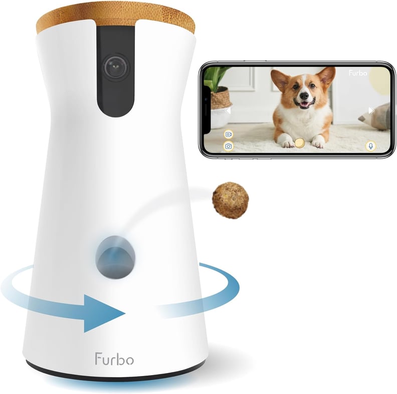 Best Cyber Monday Home Deal on a Pet Camera