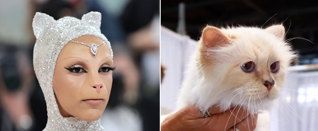 Was Karl Lagerfeld's Cat, Choupette, at the 2023 Met Gala?