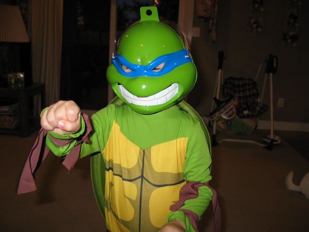 Then Came the Ninja Turtles