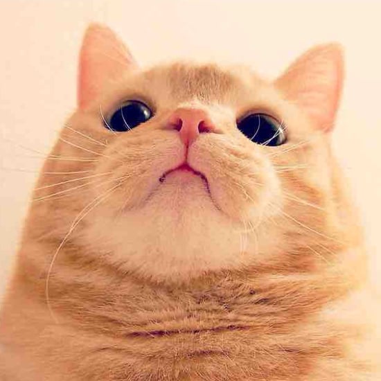 Selfie Picture Trick