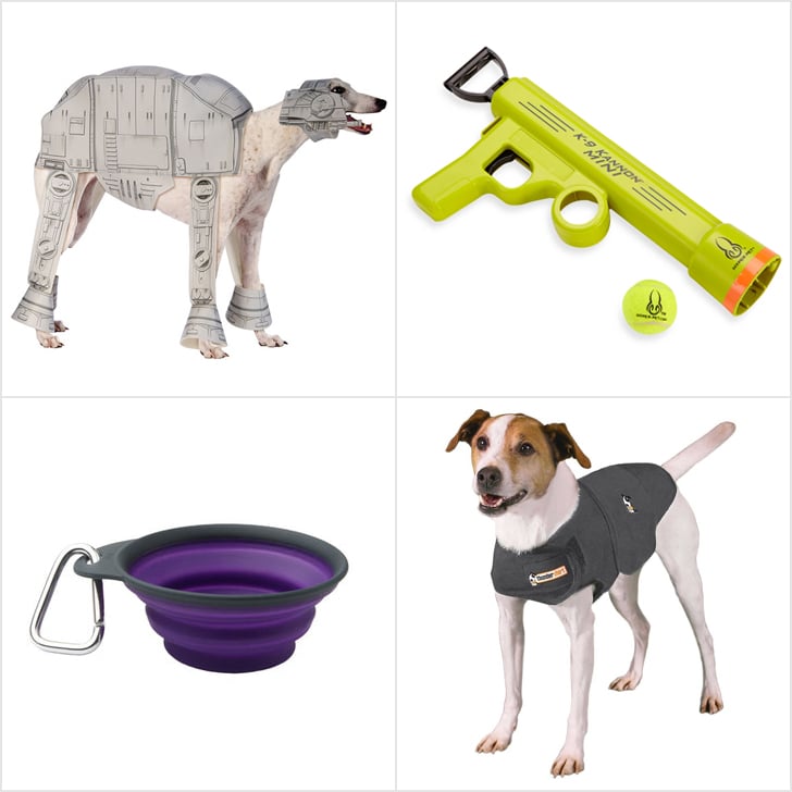 Gadgets For Dogs | POPSUGAR Tech