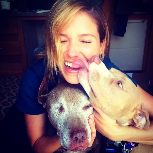 Sophia Bush's pups gave her kisses for National Dog Day. 
Source: Instagram user sophiabush