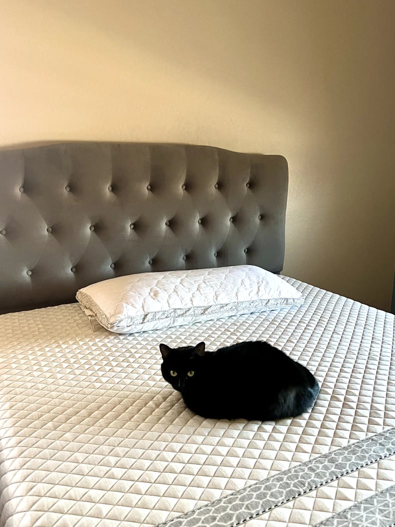 Best Medium-Plush Mattress