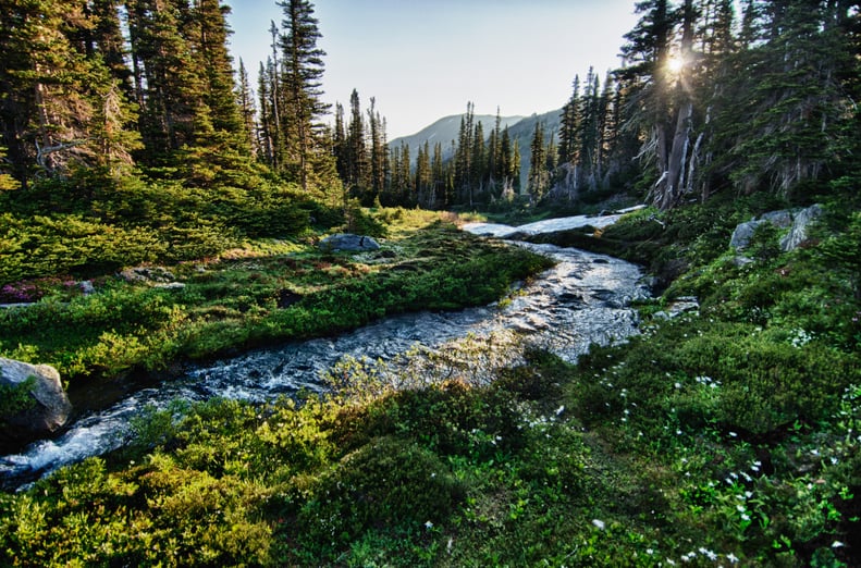 The Olympic Peninsula