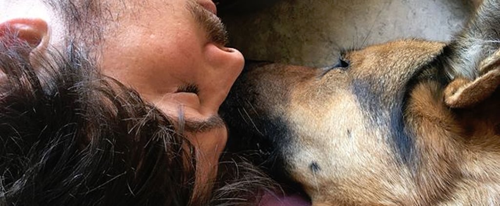 Ian Somerhalder and Nikki Reed's Dog Dies