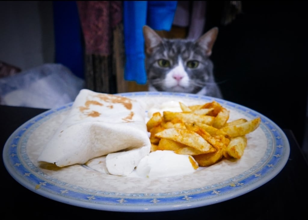 Photos of Man Eating Meals With His Cat