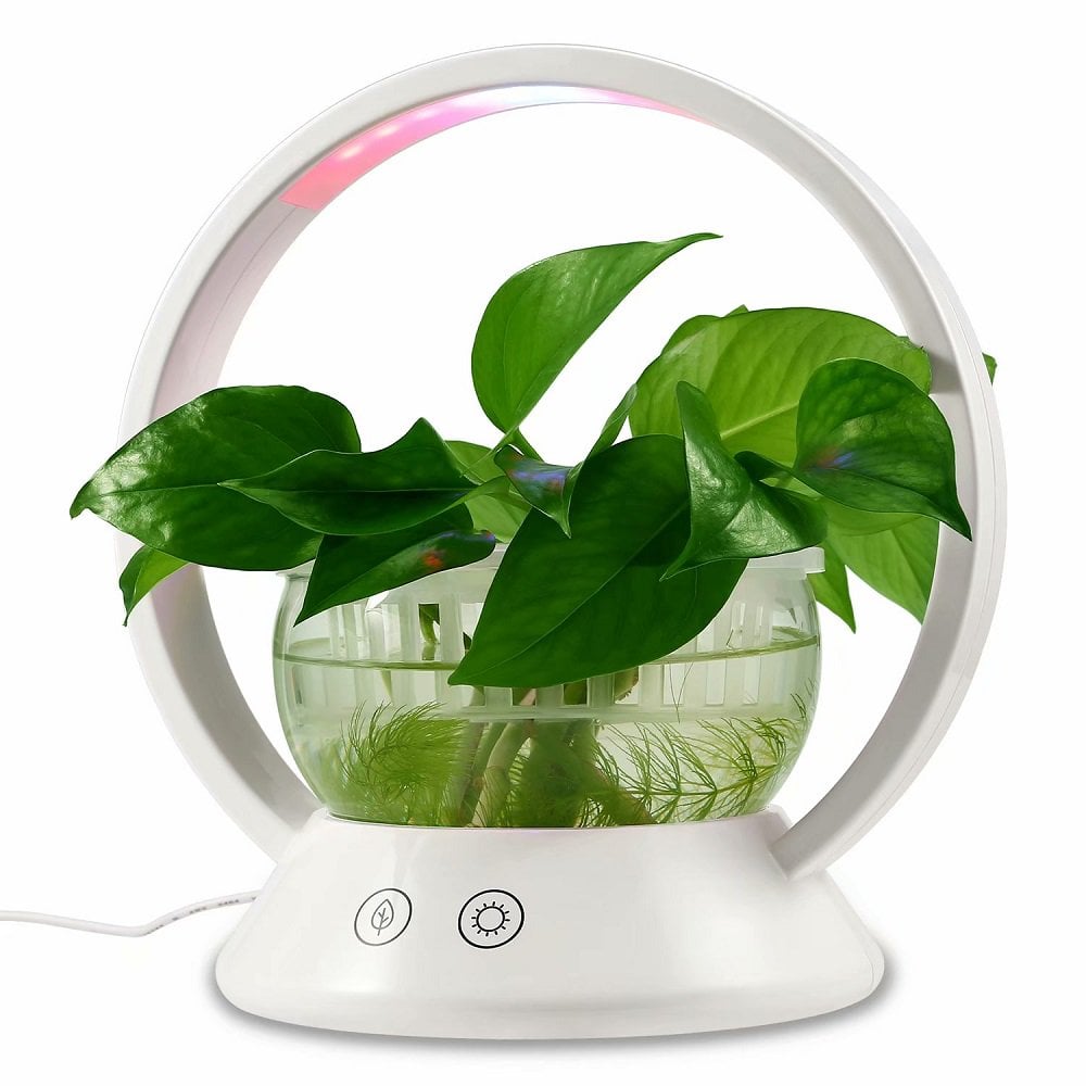 Indoor Plant Grow Light