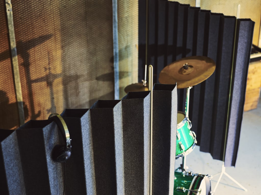 Room divider ($50) Room divider ($50)