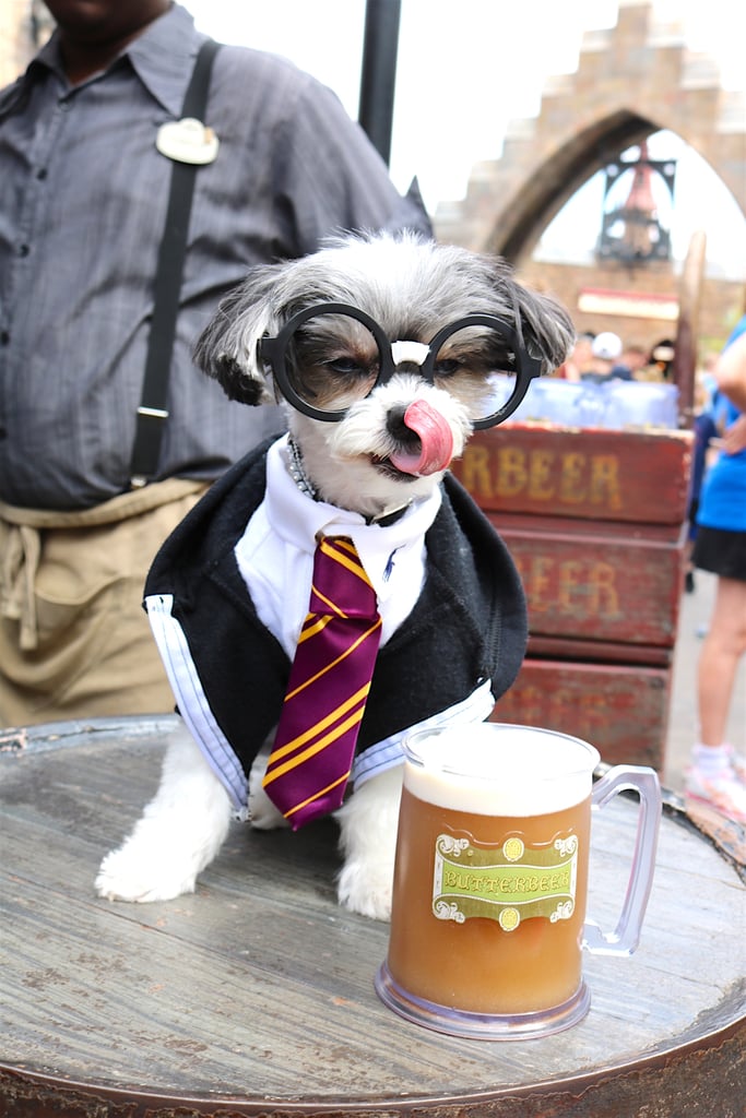 Once in Hogsmeade, I enjoyed a delicious Butterbeer!