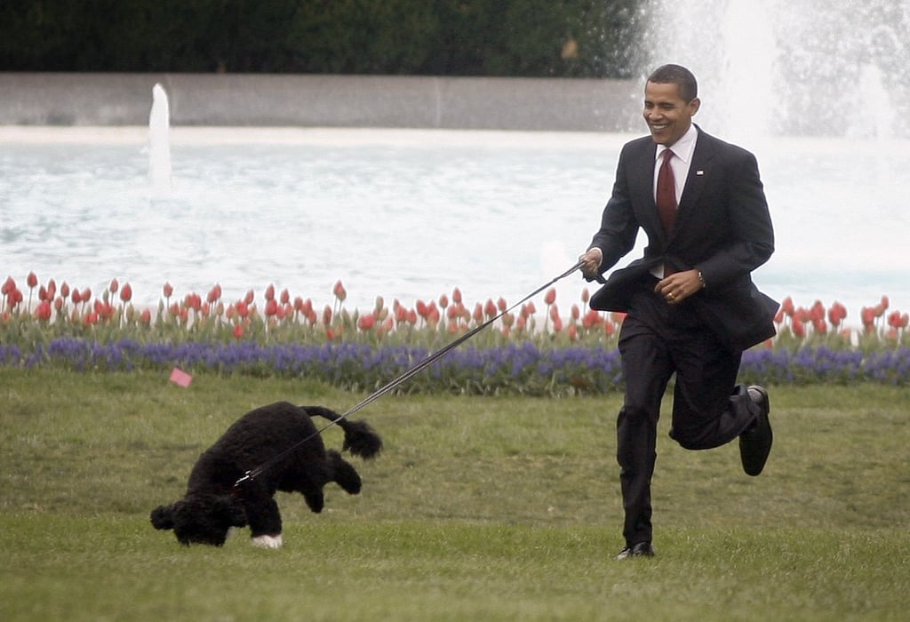 Barack went for a quick jog with Bo around the South Lawn in 2009.