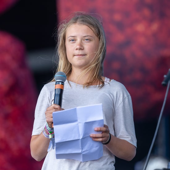 Andrew Tate Arrested Shortly After Greta Thunberg Exchange