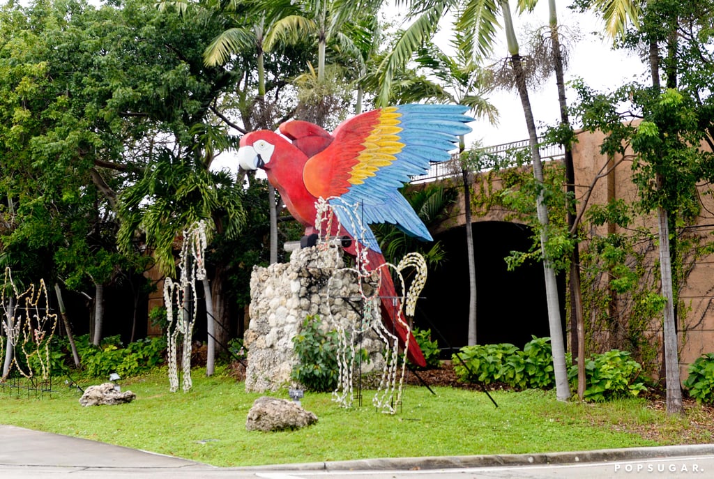 The family was greeted by enormous parrot statues!