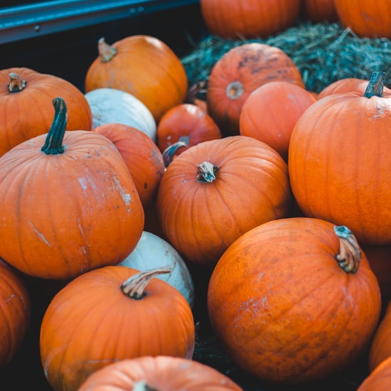 How to Grow Pumpkins in an Apartment