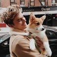 Queer Eye's Antoni Had a Meltdown Over a Corgi — and We Fell a Little More in Love