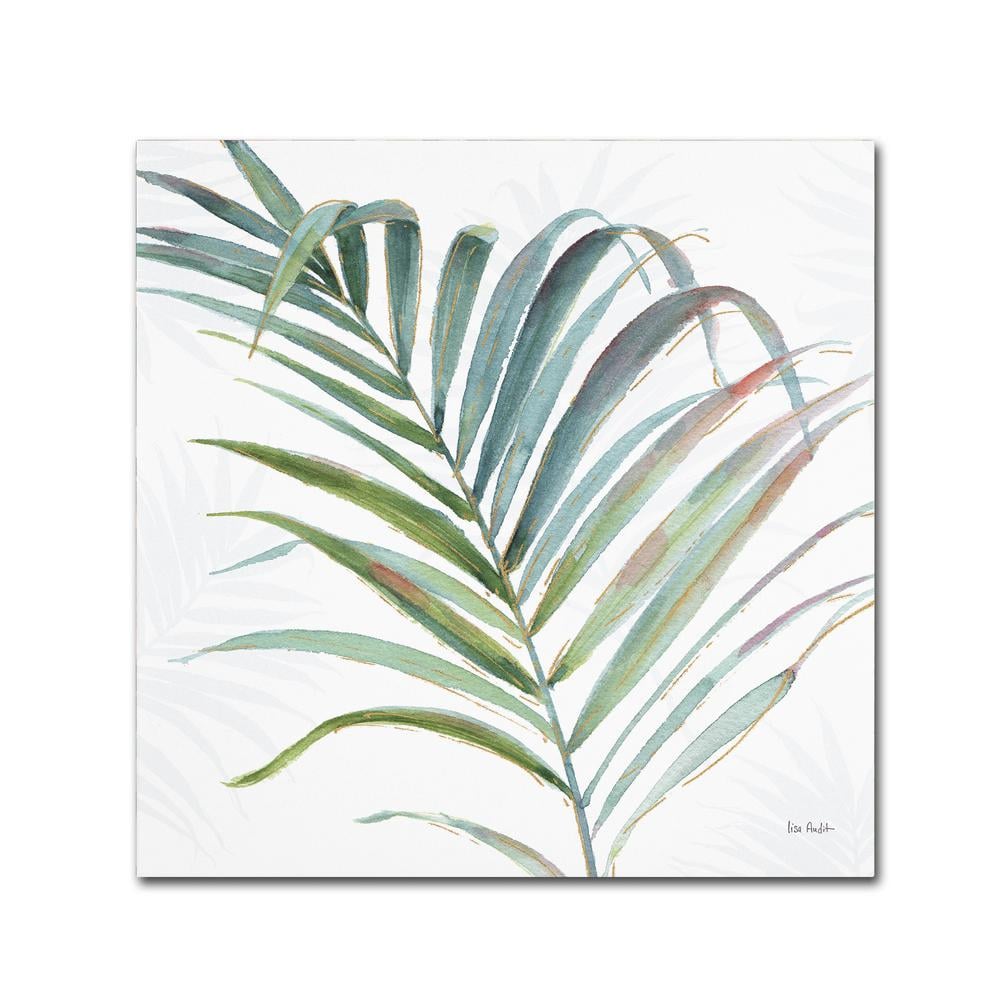 Trademark Fine Art "Tropical Blush V" by Lisa Audit Printed Canvas Wall Art