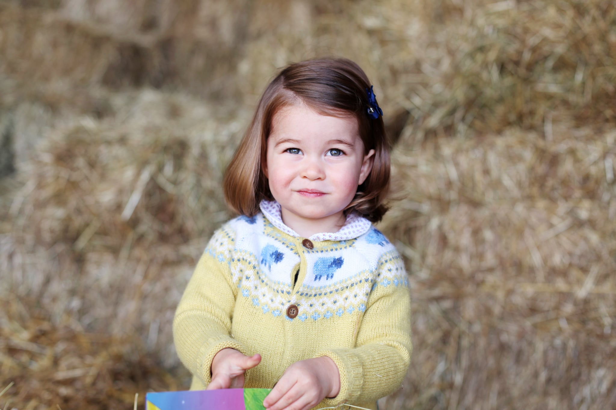 NORFOLK, ENGLAND - APRIL 2017: In this undated handout image released by the Duke and Duchess of Cambridge, Princess Charlotte is pictured at home in April in Norfolk, England. The photograph was taken in April by The Duchess at their home in Norfolk to mark Princess' second birthday. (Photo by HRH The Duchess of Cambridge via Getty Images)NEWS EDITORIAL USE ONLY. NO COMMERCIAL USE (including any use in merchandising, advertising or any other non-editorial use including, for example, calendars, books and supplements). This photograph is provided to you strictly on condition that you will make no charge for the supply, release or publication of it and that these conditions and restrictions will apply (and that you will pass these on) to any organisation to whom you supply it. All other requests for use should be directed to the Press Office at Kensington Palace in writing.NOTE TO EDITORS: This handout photo may only be used in for editorial reporting purposes for the contemporaneous illustration of events, things or the people in the image or facts mentioned in the caption. Reuse of the picture may require further permission from the copyright holder.