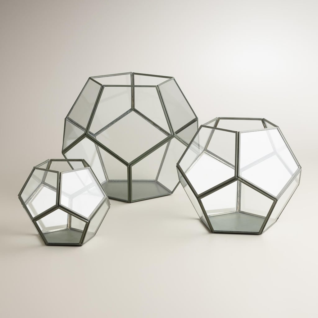 Geo Terrarium ($20-$40)