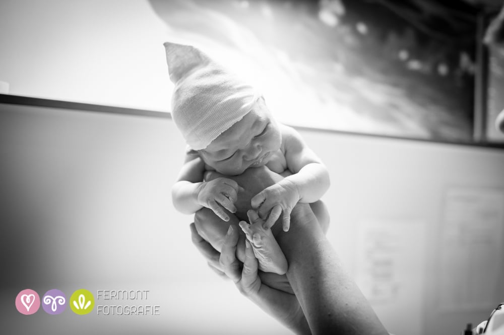 Photos of How Babies Fit Inside of Womb