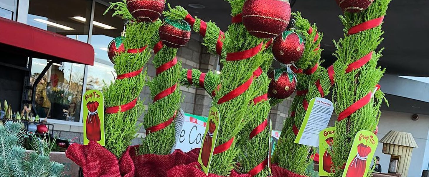 Trader Joes Grinch Christmas Tree Best Decorations